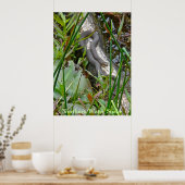 北の水蛇が複数のログ項目に基づく ポスター (キッチン)