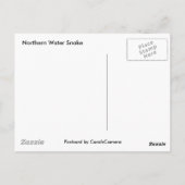 北の水蛇が複数のログ項目に基づく ポストカード (裏面)