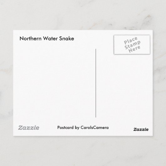 北の水蛇が複数のログ項目に基づく ポストカード (裏面)