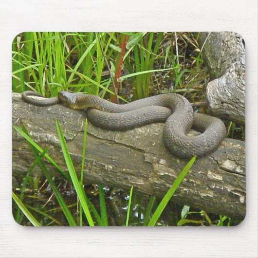 北の水蛇が複数のログ項目に基づく マウスパッド (正面)