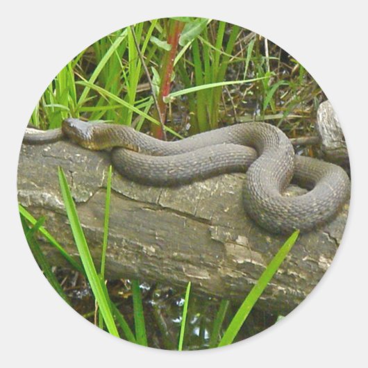 北の水蛇が複数のログ項目に基づく ラウンドシール (正面)