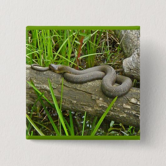 北の水蛇が複数のログ項目に基づく 缶バッジ (正面)