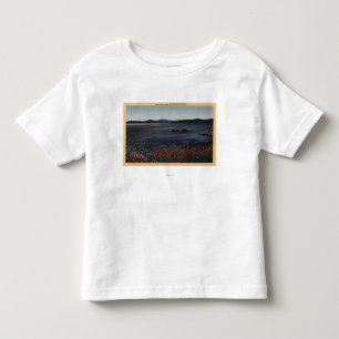 北の海岸からの湖の眺め トドラーTシャツ