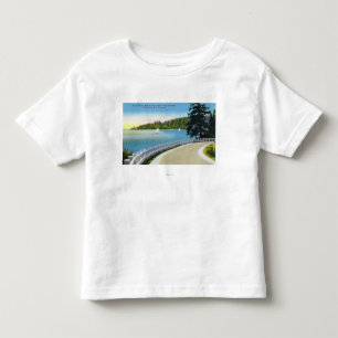 北の海岸ポイントAtkinsonの海洋ドライブ概観 トドラーTシャツ
