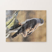 北の男のハリアーの日に照らされたプロフィール ジグソーパズル (横)