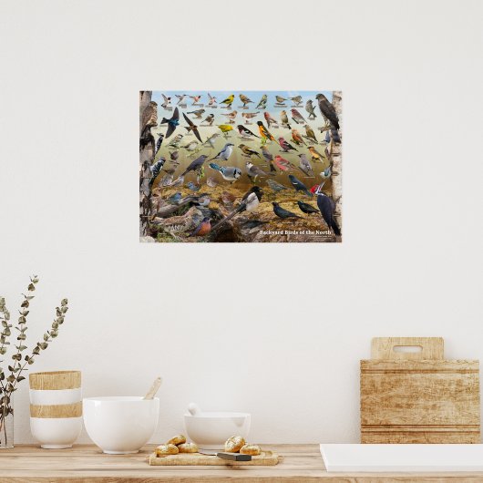 北の裏庭の鳥 ポスター (キッチン)