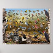 北の裏庭の鳥 ポスター (正面)