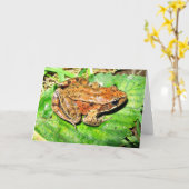北の赤い脚のカエル カード (黄色い花)