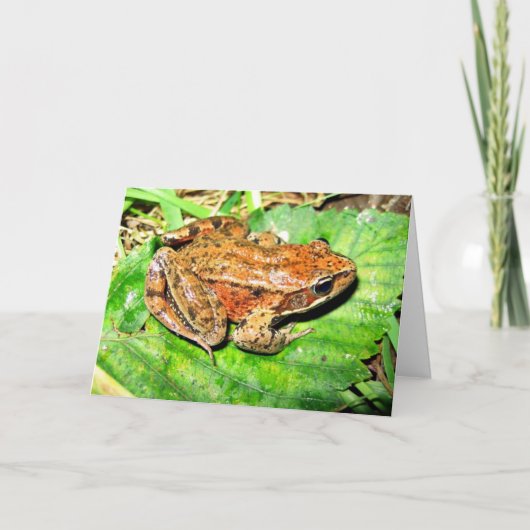 北の赤い脚のカエル カード (正面)