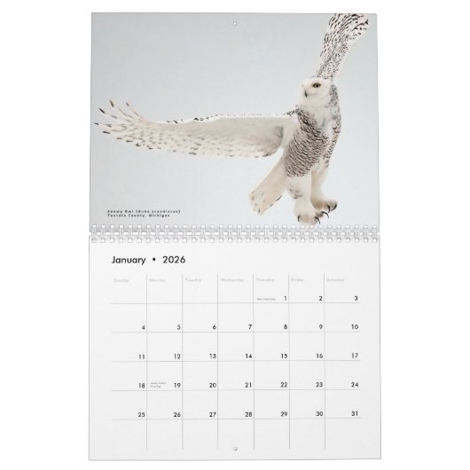 北の鳥:素晴らし湖 カレンダー (1月 2026)