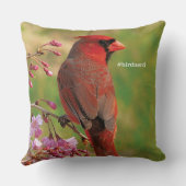 北の（鳥）ショウジョウコウカンチョウ2 クッション (裏面)