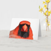 北の（鳥）ショウジョウコウカンチョウ カード (黄色い花)