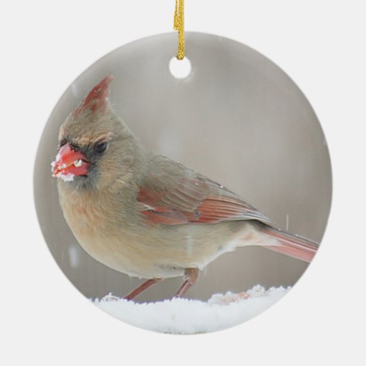 北の(鳥)ショウジョウコウカンチョウ セラミックオーナメント (裏面)