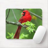 北の(鳥)ショウジョウコウカンチョウ マウスパッド (マウス)