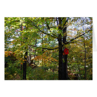 北のOrntarioの秋の森林