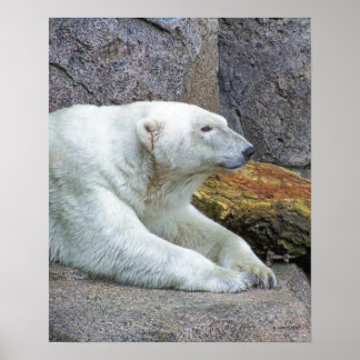 北を向いて ポスター