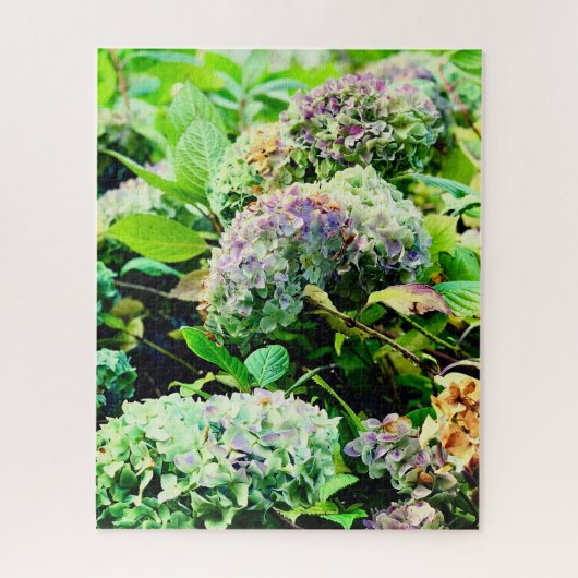 北アイルランドのアジサイ ジグソーパズル (縦)