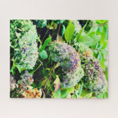 北アイルランドのアジサイ ジグソーパズル (横)