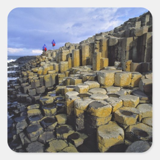 北アイルランド、郡アントリム、ジャイアント スクエアシール (正面)