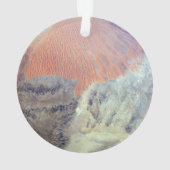 北アフリカのアルジェリアのサハラ砂漠。 オーナメント (裏面)