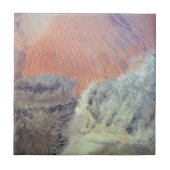 北アフリカのアルジェリアのサハラ砂漠。 タイル (正面)