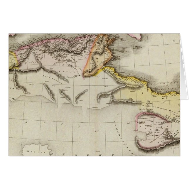 北アフリカ2 (正面横)