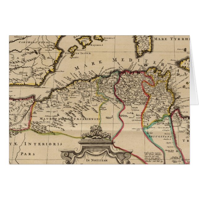 北アフリカ3 (正面横)