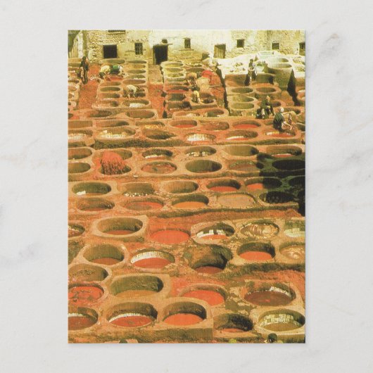 北アフリカ、タネリー、マラケシュ、モロッコ ポストカード (正面)