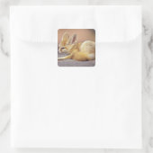 北アフリカ フェネック (Fennecus zerda) スクエアシール (バッグ)