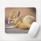 北アフリカ フェネック (Fennecus zerda) マウスパッド (マウス)