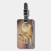 北アフリカ フェネック (Fennecus zerda) ラゲッジタグ (正面縦)