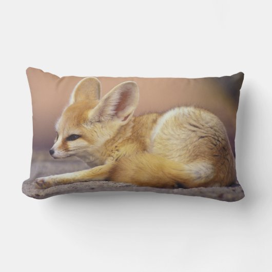 北アフリカ フェネック (Fennecus zerda) ランバークッション (正面)