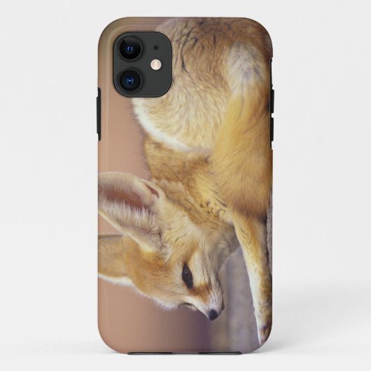 北アフリカ フェネック (Fennecus zerda) Case-Mate iPhoneケース (裏面)
