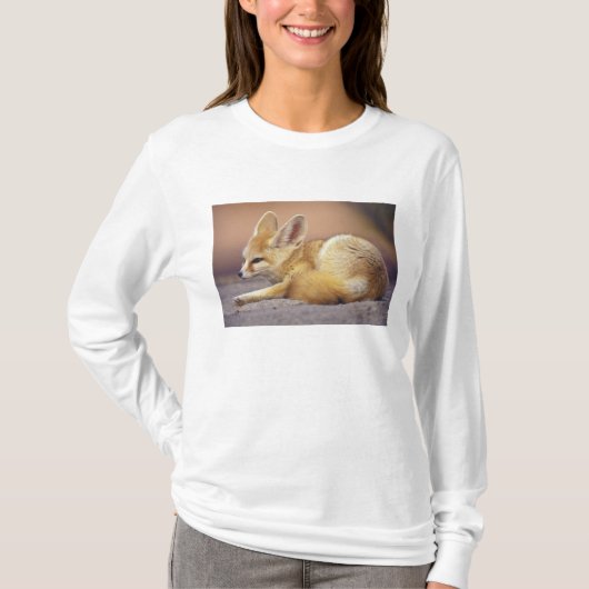北アフリカ フェネック (Fennecus zerda) Tシャツ (正面)