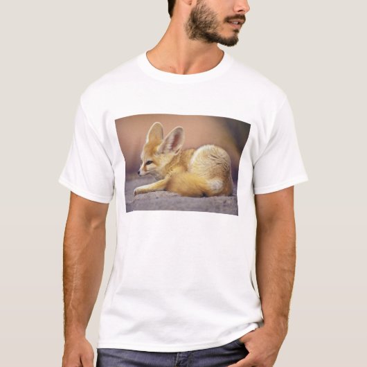 北アフリカ フェネック (Fennecus zerda) Tシャツ (正面)