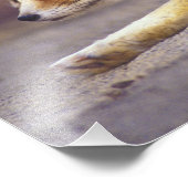 北アフリカ。Fennec Fennecus zerda) フォトプリント (角)