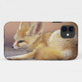 北アフリカ。Fennec Fennecus zerda) Case-Mate iPhoneケース (裏面(横))