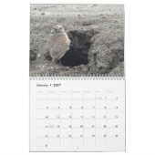 北アメリカのカランダーカレンダーの鳥 カレンダー (1月 2027)