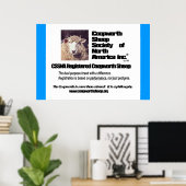 北アメリカのコプワース羊協会 ポスター (ホームオフィス)