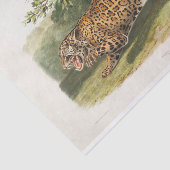 北アメリカのジャガー(1845)デコページ 薄葉紙 (詳細)