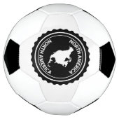 北アメリカのスタンプ サッカーボール (回転)