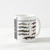 北アメリカのチョウザメポスターマグ コーヒーマグカップ (正面右)