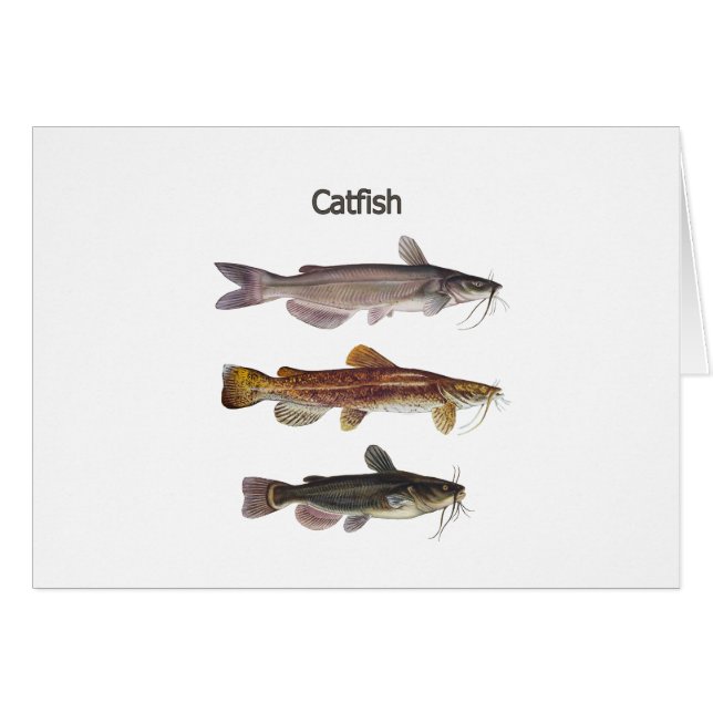 北アメリカのナマズのロゴ (正面横)