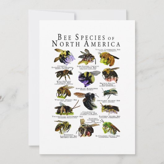 北アメリカのハチ種のポスタープリント 招待状 (正面)