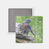 北アメリカのハピネスのブルーバード マグネット (正面/裏面)