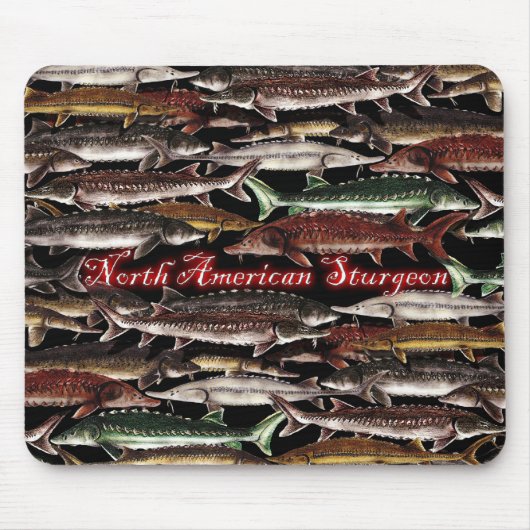 北アメリカのマウスパッドのチョウザメ マウスパッド (正面)