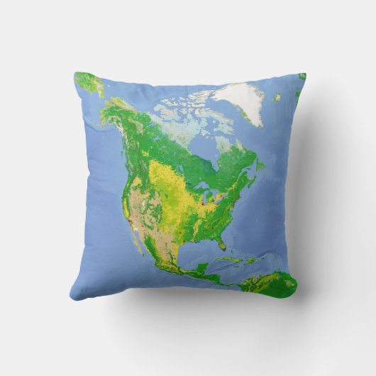 北アメリカの土地利用地図の枕 クッション (裏面)
