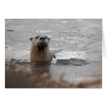 北アメリカの川カワウソ
