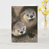 北アメリカの川カワウソ カード (黄色い花)