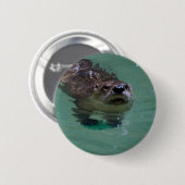 北アメリカの川カワウソ 缶バッジ (正面&裏面)